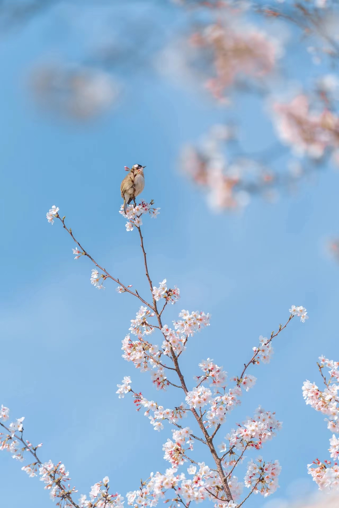 提前十分鐘，人生大不同